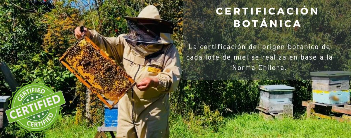 CERTIFICACIÓN BOTÁNICA