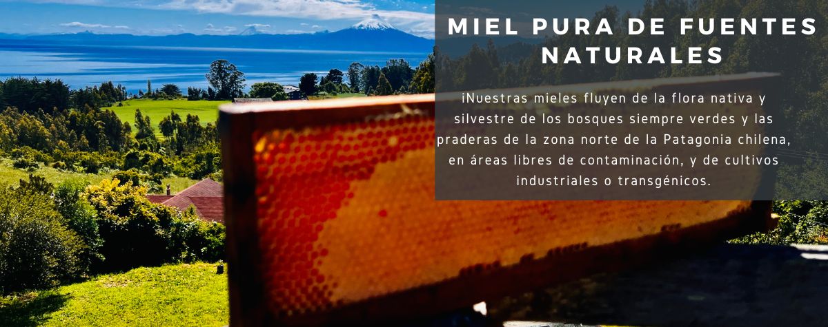 MIEL PURA DE FUENTES NATURALES